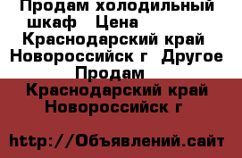 Продам холодильный шкаф › Цена ­ 13 000 - Краснодарский край, Новороссийск г. Другое » Продам   . Краснодарский край,Новороссийск г.